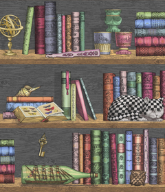 Шведские обоиОбои для кабинета Libreria 114/13025 - Cole & Son / Fornasetti Senza Tempo