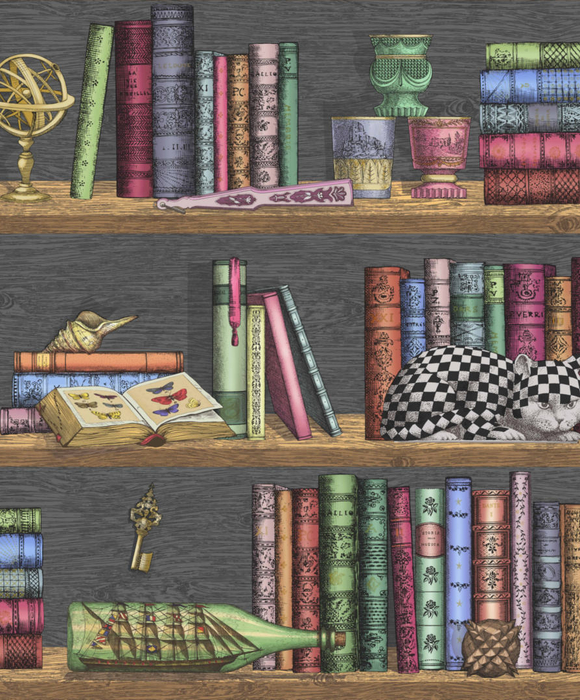 Шведские обоиОбои для кабинета Libreria 114/13025 - Cole & Son / Fornasetti Senza Tempo