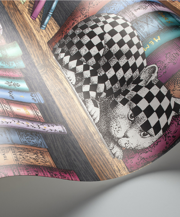 Шведские обоиОбои для кабинета Libreria 114/13025 - Cole & Son / Fornasetti Senza Tempo
