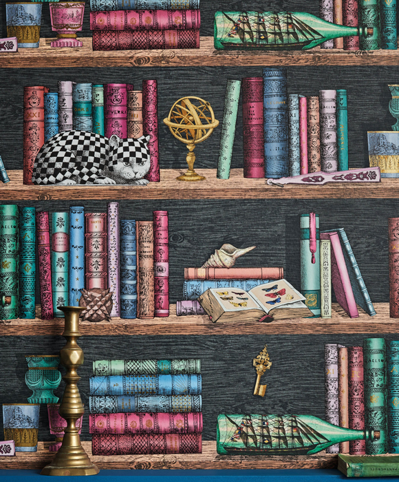 Шведские обоиОбои для кабинета Libreria 114/13025 - Cole & Son / Fornasetti Senza Tempo
