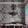 Шведские обоиЗаказное панно Nuvolette 114/29058 - Cole & Son / Fornasetti Senza Tempo